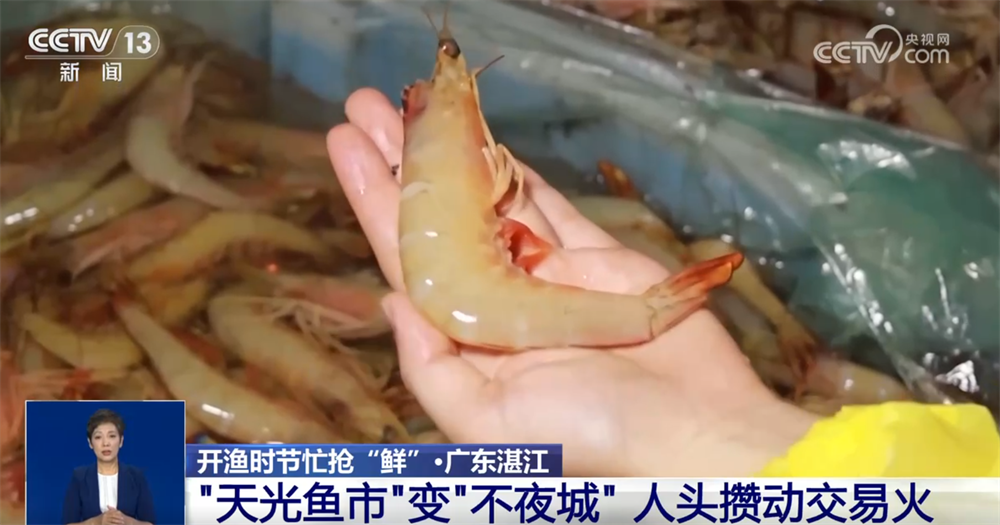 抖音怎么失密作品_上海纲联股份有限公司_