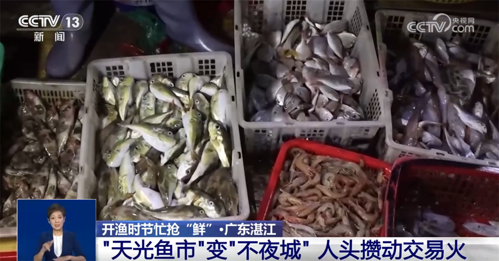 抖音怎么失密作品_上海纲联股份有限公司_