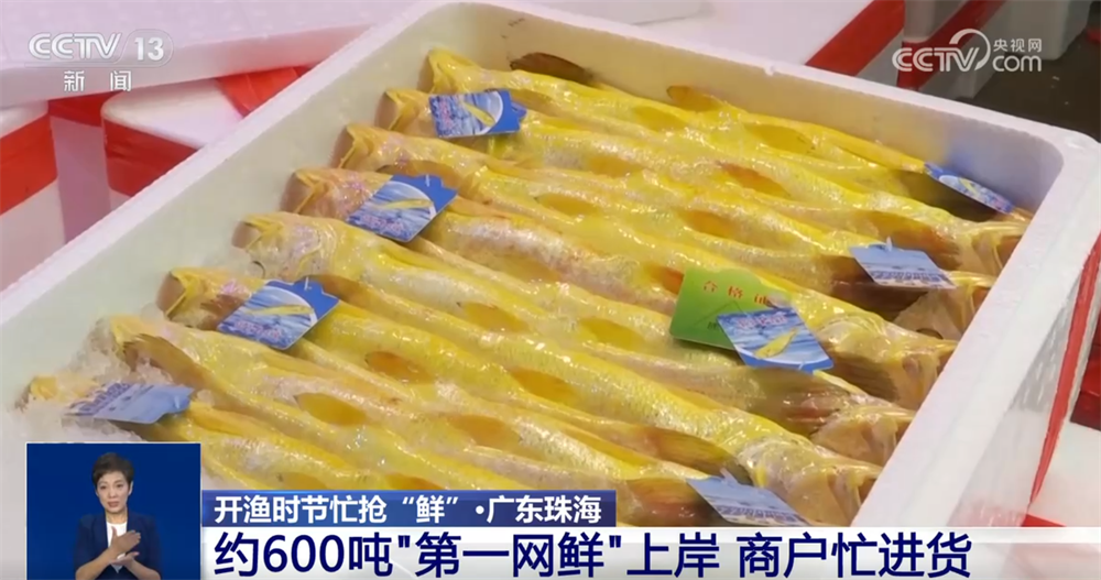 上海纲联股份有限公司__抖音怎么失密作品