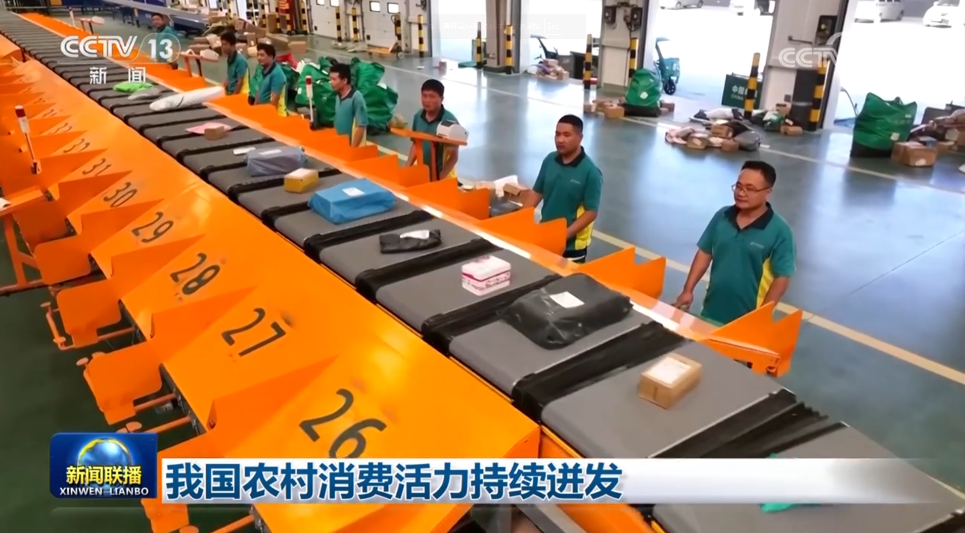 大力促进农村消费_力促农村消费提质升级_