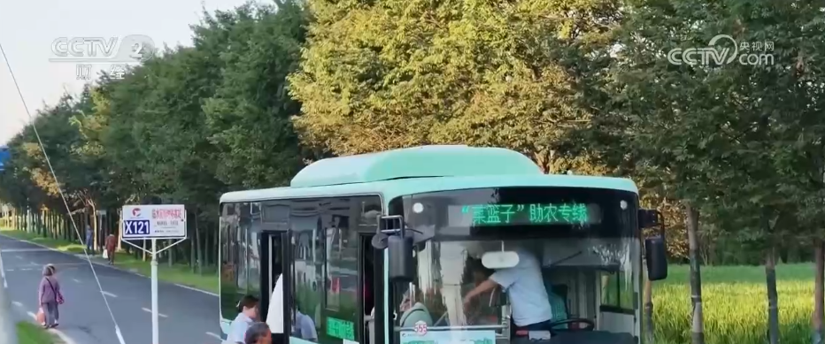 从“菜园子”到“菜市场” “扁担公交”护航高温下的“菜篮子”_从“菜园子”到“菜市场” “扁担公交”护航高温下的“菜篮子”_