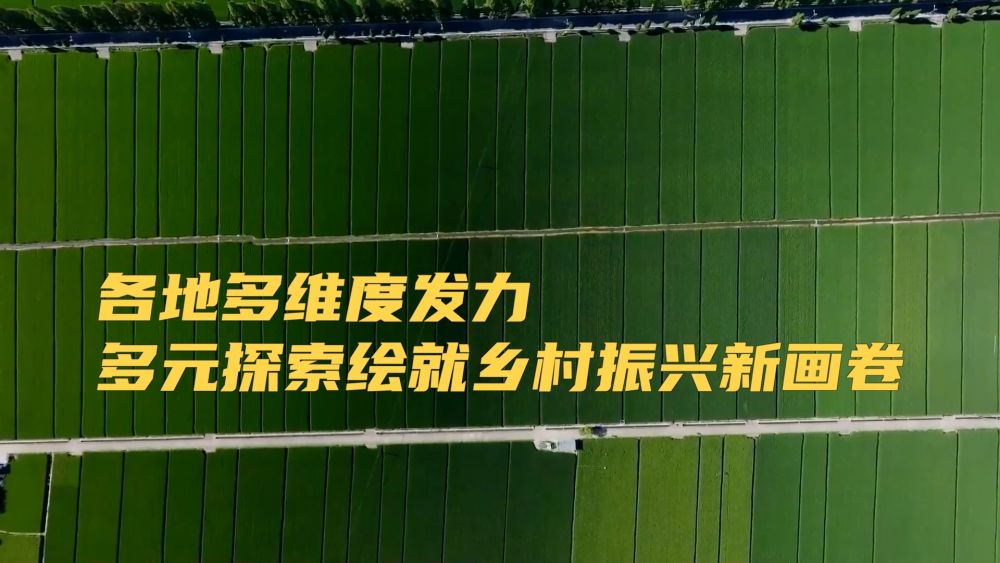_乡村振兴战略五大振兴_美丽乡村与乡村振兴关系